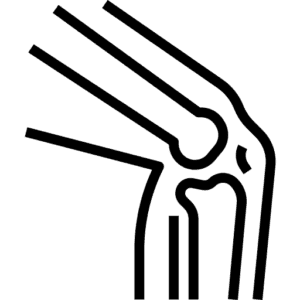 rodilla